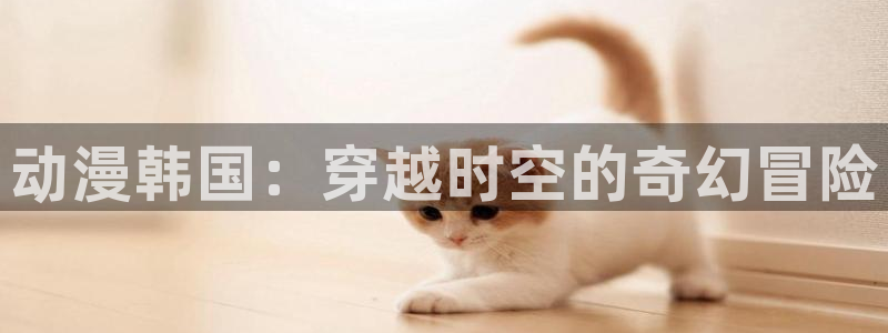 omofun动漫在线：动漫韩国：穿越时空的奇幻冒险